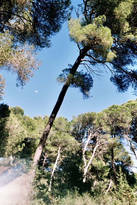 Field Recording – Betlem